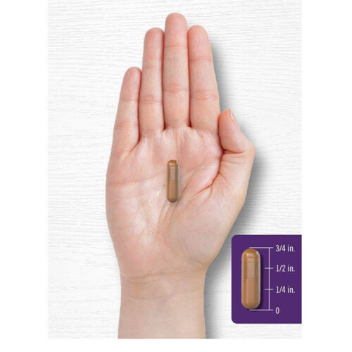 Resveratrol 1800mg Carlyle | 180 Cápsulas - Image 6