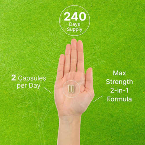 Tongkat Ali Plus 1100mg Deal Supplement | 240 Cápsulas - Image 5